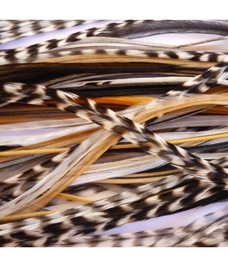 Batch of 20 Feathers natural (25-32cm)