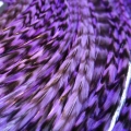 Pluma rayada lilac XXL 30-35