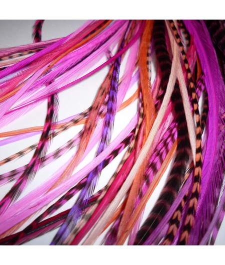 Assortiment Pink Power 2 plumes et plus 20-25cm