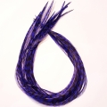Electric purple rayée XXL