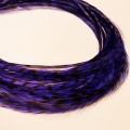 Electric purple rayée XXL
