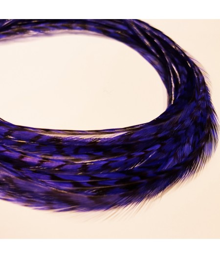 Electric purple rayée XXL