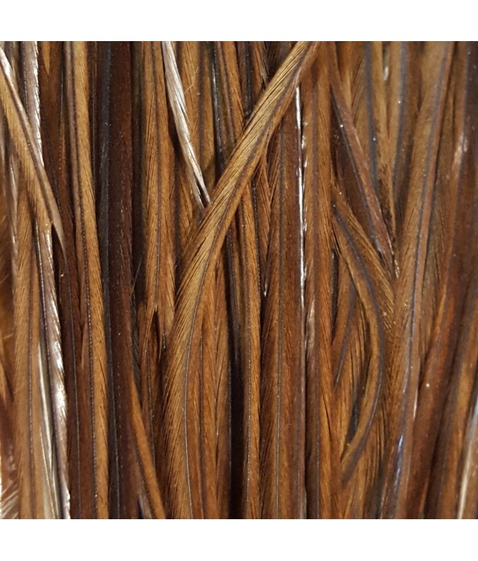 Pluma ardilla XL Pluma ardilla XL