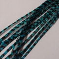 LIQUIDATION 3 Plumes rayées turquoises 30-35cm fines