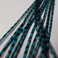 LIQUIDATION 3 Plumes rayées turquoises 30-35cm fines