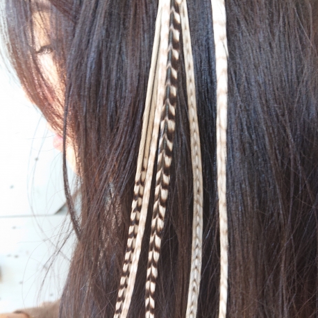 Assortiment 5 plumes Winter 25-30 cm XL