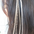 5 feathers Winter 25-30 cm XL
