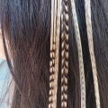 Assortiment 5 plumes Winter 25-30 cm XL