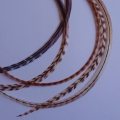 5 feathers Bengal 25-30 cm XL