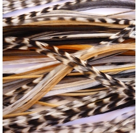 Lot 30 feathers XXXL (35-45 cm) nature