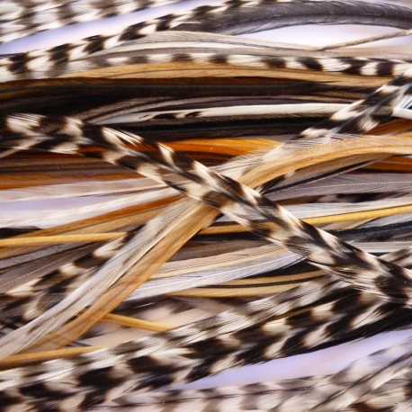 Lot 30 feathers XXXL (35-45 cm) nature