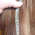 Plume rayée flocon et cheveux d'anges brillants