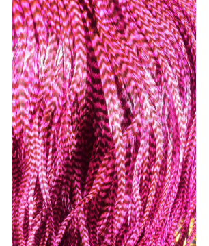 Pluma rayada rosada L