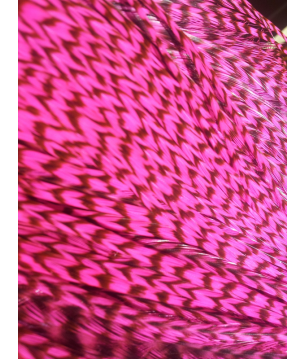 Pluma rayada rosada fluo L
