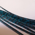 Plume Paon XL