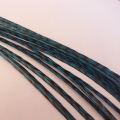 Plume Paon XL