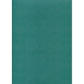 Plume Paon XL