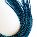 PROMO 10 rayées turquoises XXL fines 30-35cm