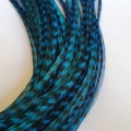 PROMO 10 rayées turquoises XXL fines 30-35cm