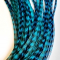 PROMO 10 rayées turquoises XXL fines 30-35cm