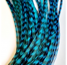 PROMO 10 rayées turquoises XXL fines 30-35cm