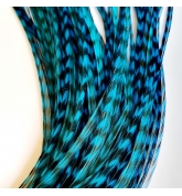 PROMO 10 rayées turquoises XXL fines 30-35cm