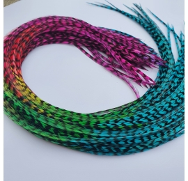 50 plumes Arc en ciel 25-39 cm longues à très longues