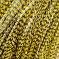 Pluma rayada amarilla XL