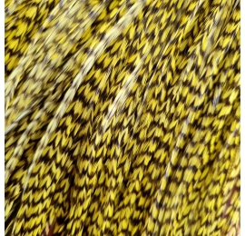 Pluma rayada amarilla XL