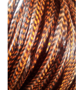 grizzly chocolate brown and black XL