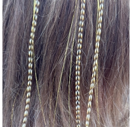 Plume rayée fauve et cheveux d'anges brillants xxl