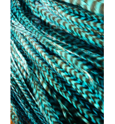 Pluma rayada turquesa XL