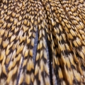 Lot 5 plumes naturellement fauve fines 18/22cm MEGA PROMO