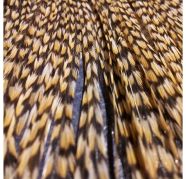 Lot 5 plumes naturellement fauve fines 18/22cm MEGA PROMO