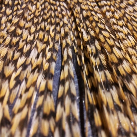 Lot 5 plumes rayée naturellement fauve fines 25/30cm MEGA PROMO