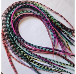 Lot 30 feathers XXXL (35-45 cm) color
