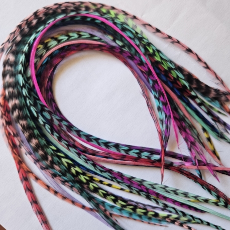 Lot 30 plumes XXXL (35-45 cm) color
