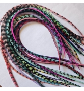 Lot 30 plumes XXXL (35-45 cm) color