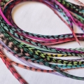 Lot 30 plumes XXXL (35-45 cm) color
