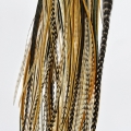 Lot 20 plumes XL+ (25-40cm) nature ORIGINALES hybrides