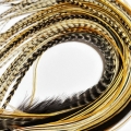 Lot 20 plumes XL+ (25-40cm) nature ORIGINALES hybrides