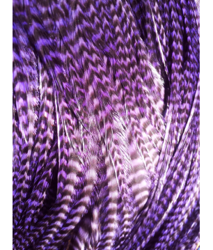 Plume rayée violette XL