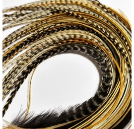 20 XL natural Lot 20 plumes XL+ (25-40cm) nature ORIGINALES hybrides