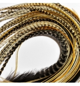 Lot 20 plumes XL+ (25-40cm) nature ORIGINALES hybrides