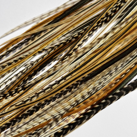 Assortiment Nature Hybride XL 5 plumes