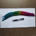PROMO 10 plumes Arc en ciel FINES 30+ cm longues, rayées