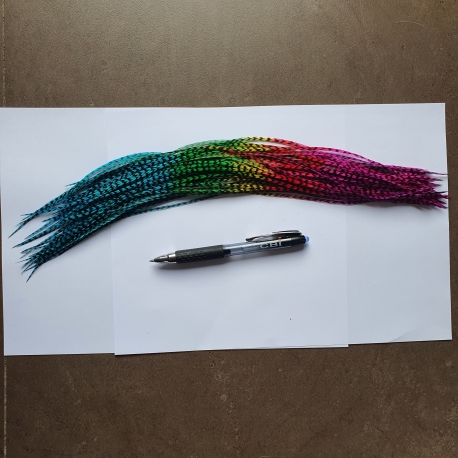 PROMO 10 plumes Arc en ciel FINES 30+ cm longues, rayées