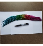 PROMO 10 plumes Arc en ciel FINES 30+ cm longues, rayées