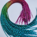 PROMO 10 plumes Arc en ciel FINES 30+ cm longues, rayées
