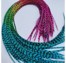 PROMO 10 plumes Arc en ciel FINES 30++ cm très longues, rayées